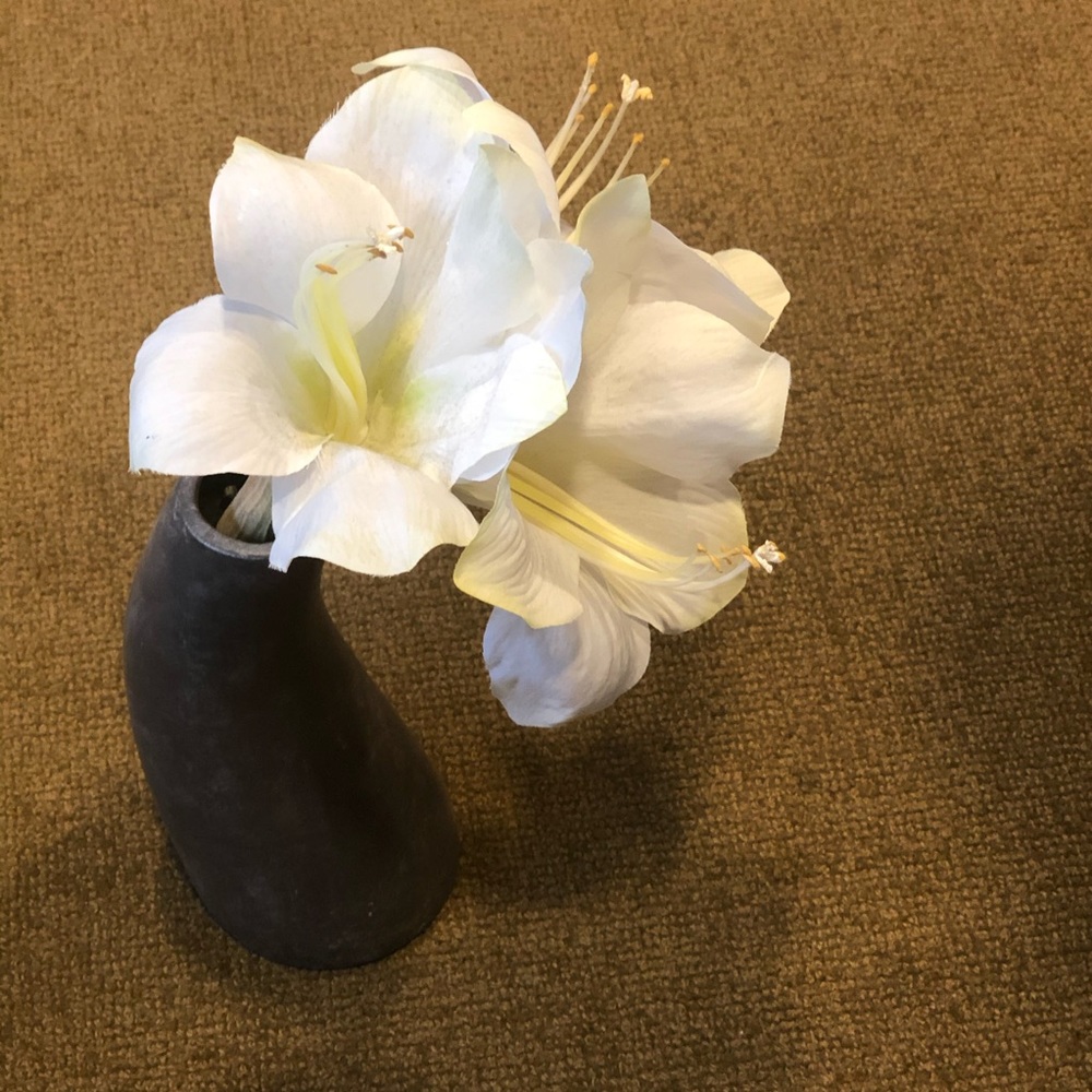 Meet your Posher, Courtney